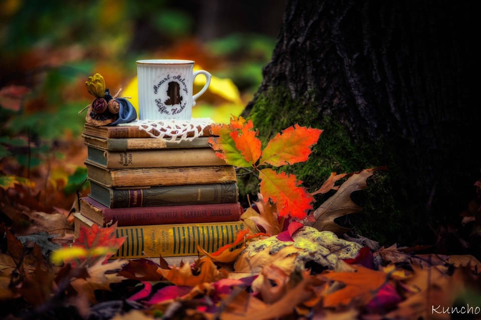 Кунчо Кунчев 2