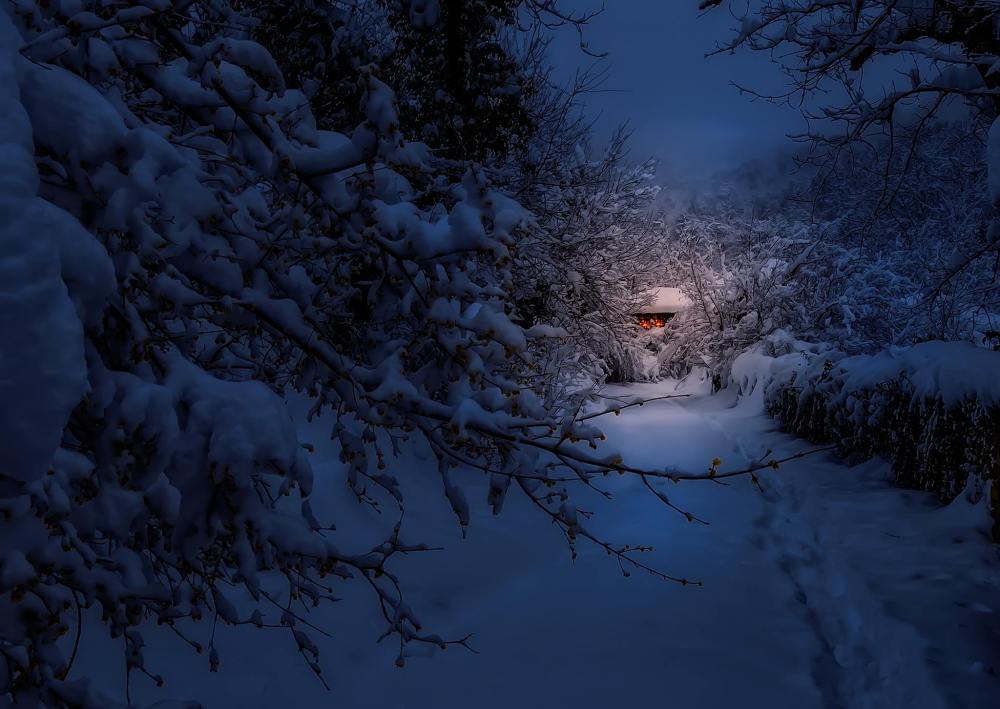 албена маркова- боженци